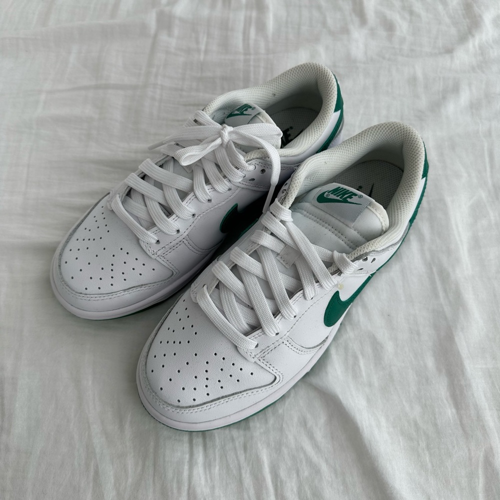 New Nike Dunks - White and green